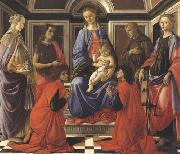 Sandro Botticelli Madonna enthroned with Child and Saints (Mary Magdalene,John the Baptist,Cosmas and Damien,Sts Francis and Catherine of Alexandria) oil painting artist